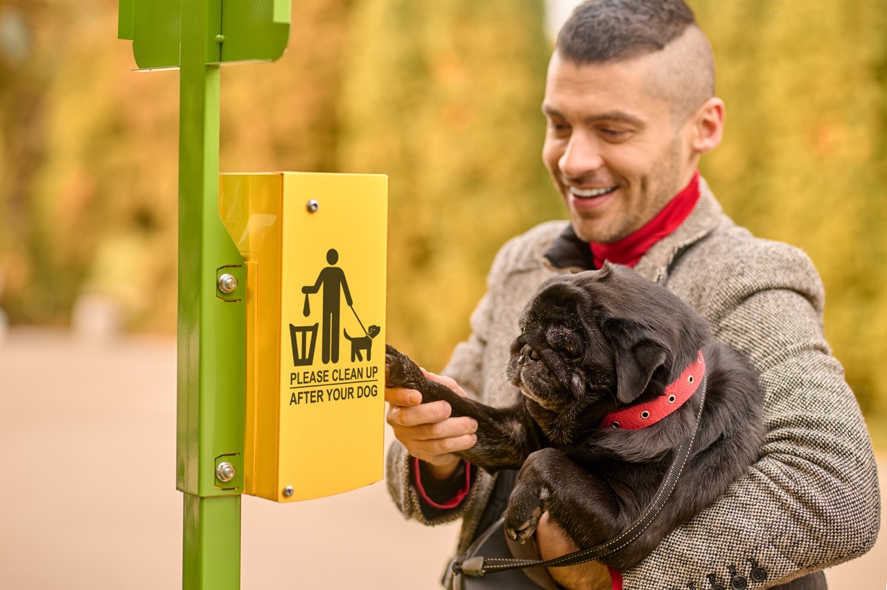 pet-owner-taking-cleaning-stuff-from-box-Large