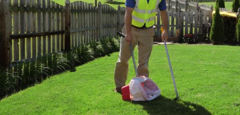 Professional Pet Waste Removal for Commercial Properties Denver