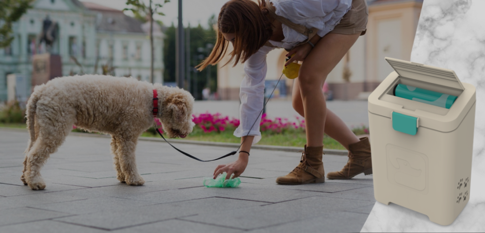 Pet Waste Removal Services in Denver